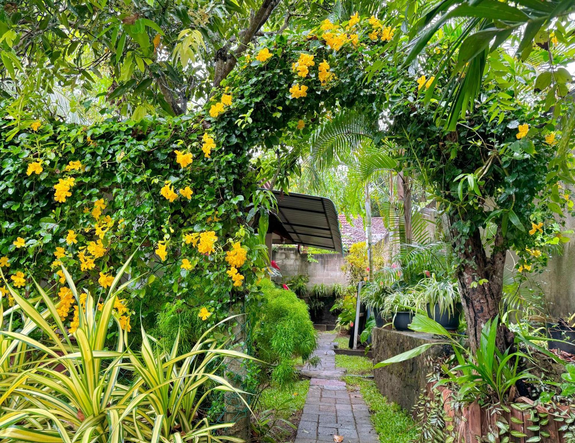 Nethmi Homestay & Restaurant Tangalle Esterno foto