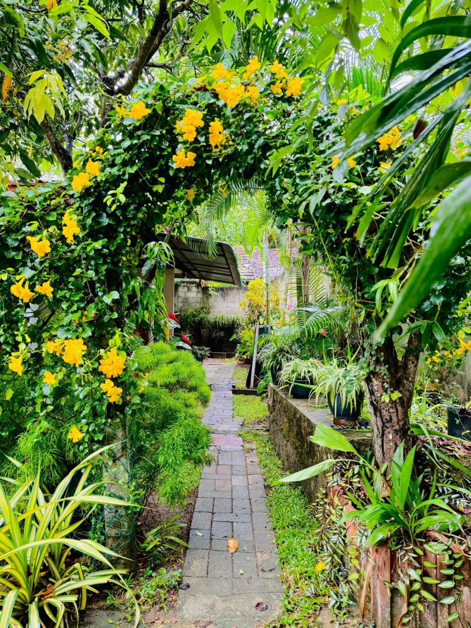 Nethmi Homestay & Restaurant Tangalle Esterno foto