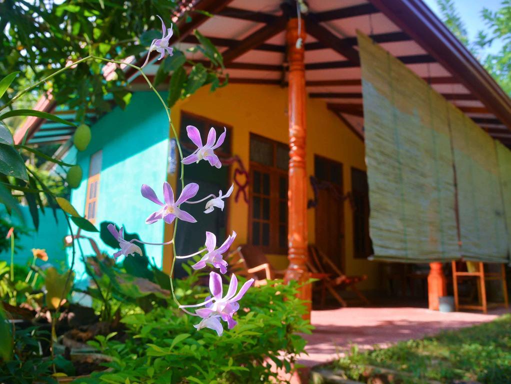 Nethmi Homestay & Restaurant Tangalle Esterno foto